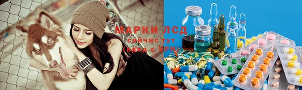 гидропоника Армянск