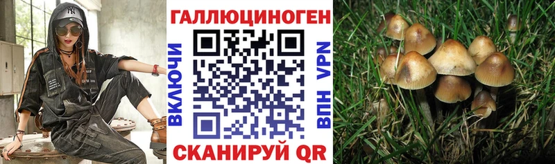 Псилоцибиновые грибы мухоморы  закладки  Балей 