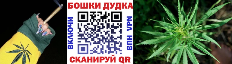 Шишки марихуана сатива  Балей 